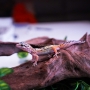 Gecko super hypo aberrant poss macho