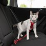 Arnés y Cinturón seguridad Gatos, 20-50 cm, Rojo